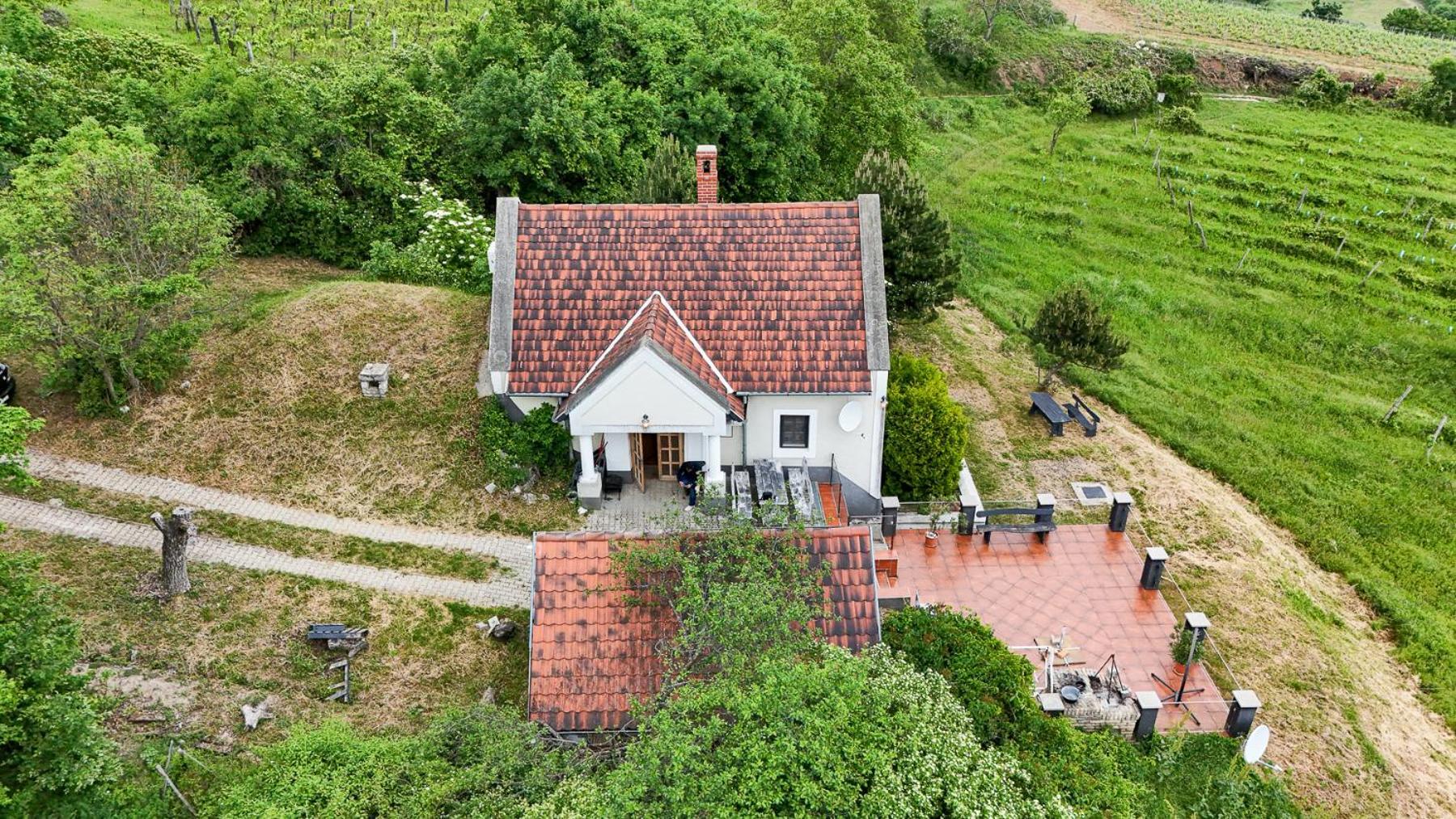 Borospince Vendeghaz Villa Pécsely Екстериор снимка